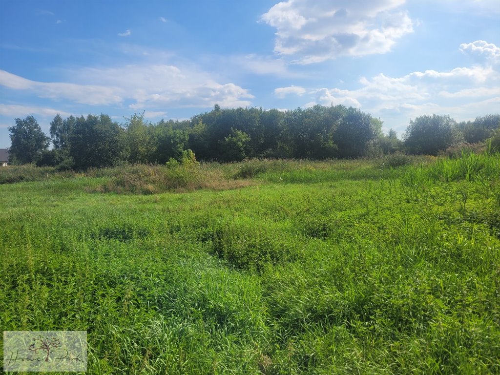 Działka budowlana na sprzedaż Konstantynów Łódzki  1 490m2 Foto 3