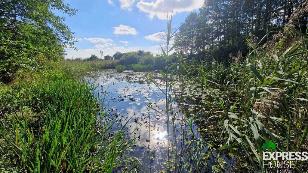 Działka z własnym stawem i bliskością Narwi w Izbiszczach Izbiszcze  4 391m2 Foto 1