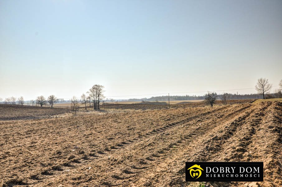 Działka rolna na sprzedaż Wiśniowo Ełckie  3 000m2 Foto 4