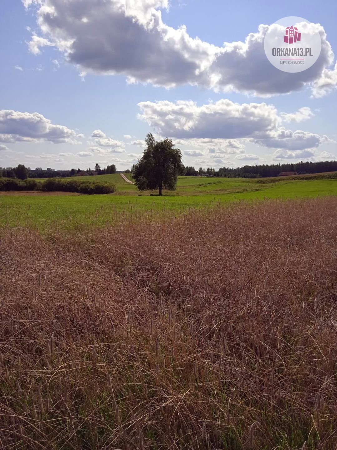 Działka rolna na sprzedaż Biesówko, Biesówko  4 093m2 Foto 3