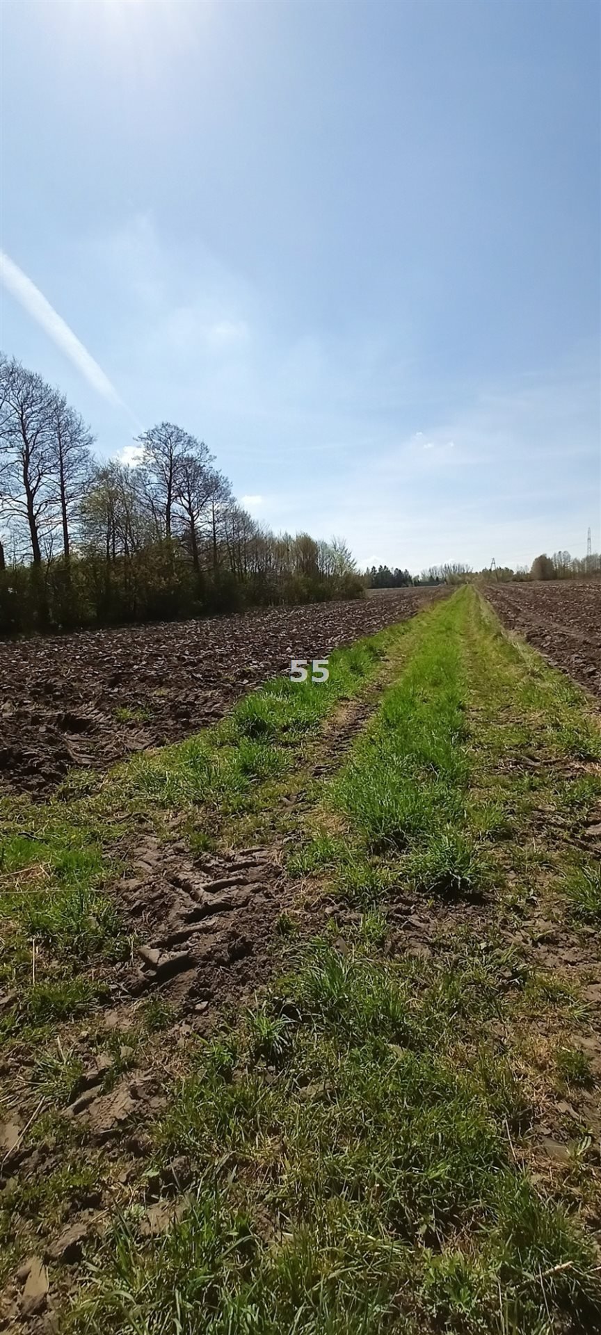 Działka inna na sprzedaż Brużyczka Mała  5 450m2 Foto 4