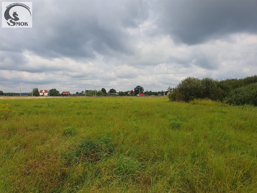 Działka rolna na sprzedaż Zabierzów Bocheński  5 900m2 Foto 3