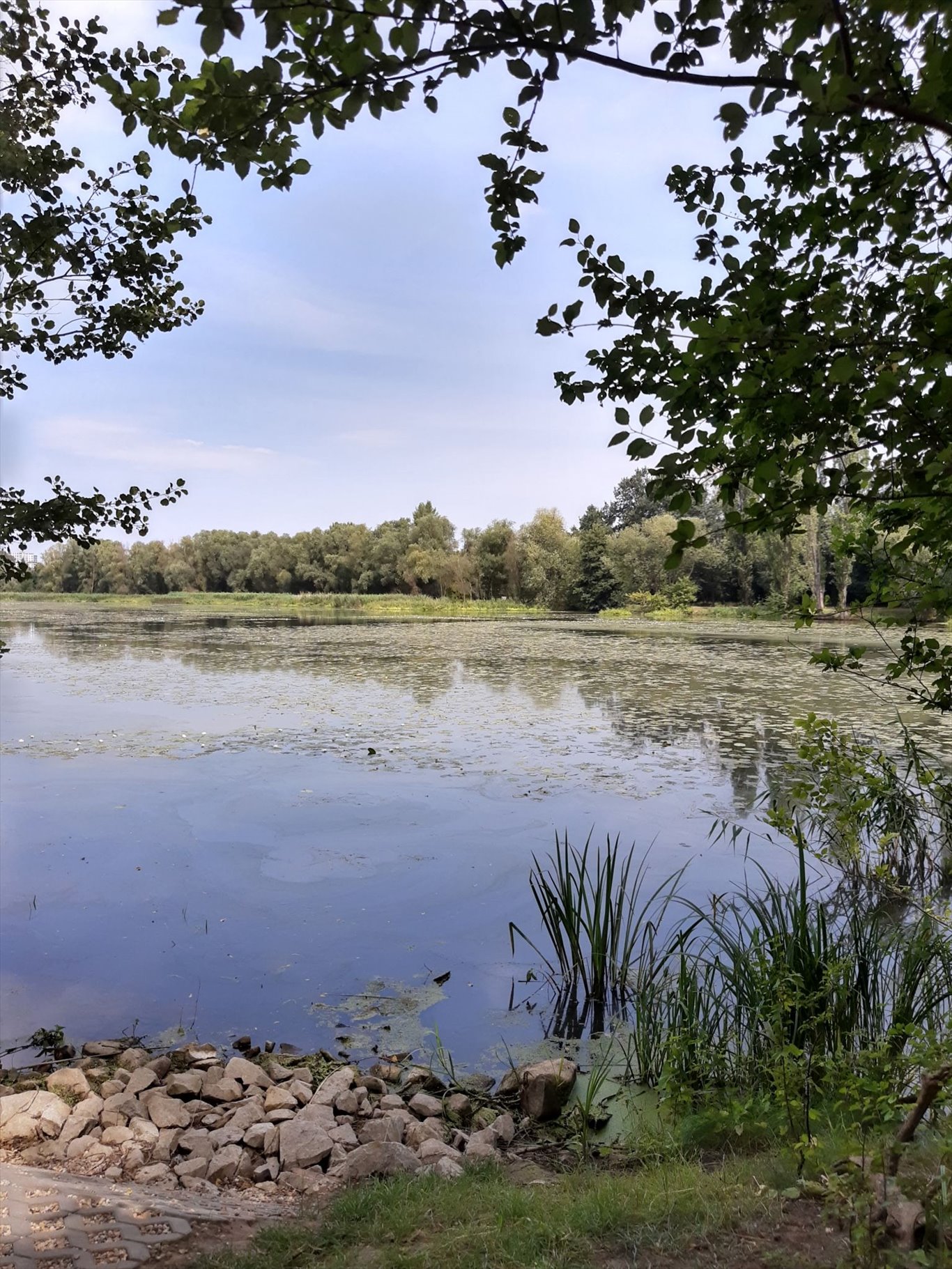 Mieszkanie dwupokojowe na sprzedaż Wrocław, Krzyki, Przedmieście Oławskie  38m2 Foto 7