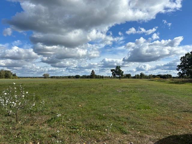 Działka rolna na sprzedaż Łąki  14 000m2 Foto 3