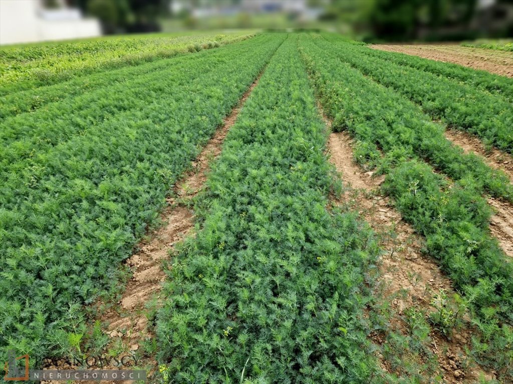 Działka usługowa 700 m² w Dziekanowicach – świetna inwestycja! Dziekanowice  700m2 Foto 1