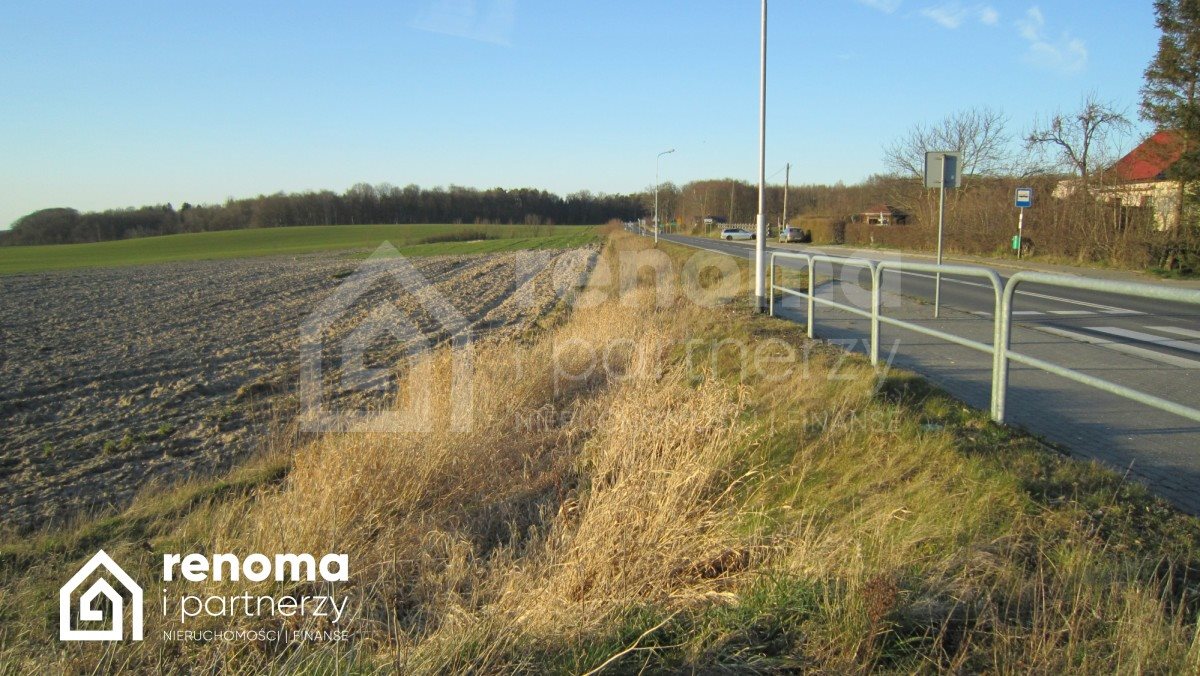 Działka budowlana na sprzedaż Mielenko  1 600m2 Foto 6