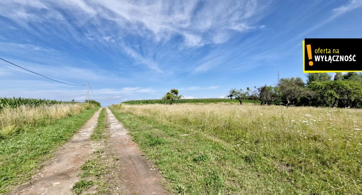 Działka rolna na sprzedaż Łęcze  26 900m2 Foto 10