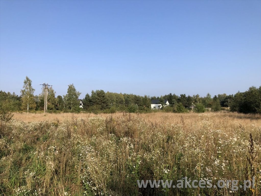 Działka budowlana na sprzedaż Władków  4 100m2 Foto 1