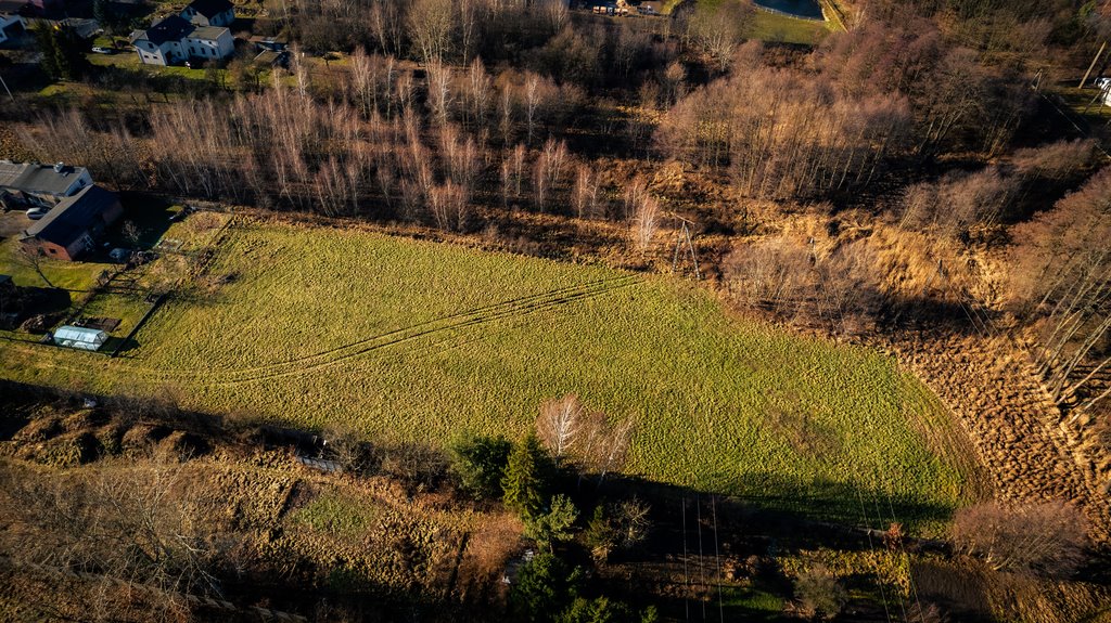 Działka budowlana na sprzedaż Aleksandrów Łódzki, Łąkowa  3 219m2 Foto 16