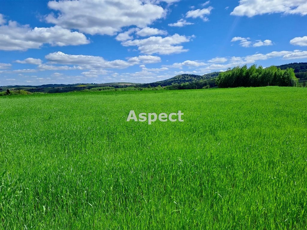 Działka budowlana na sprzedaż Brzeziny  3 000m2 Foto 1