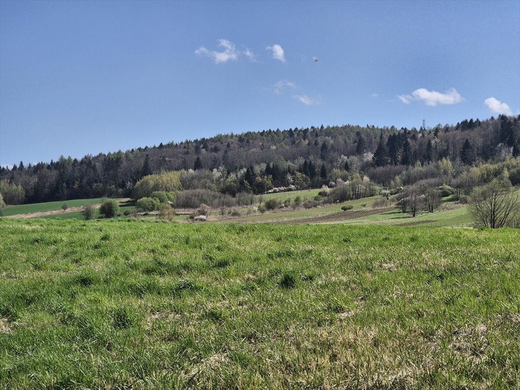 Działka rolna na sprzedaż Długie  1 898m2 Foto 1