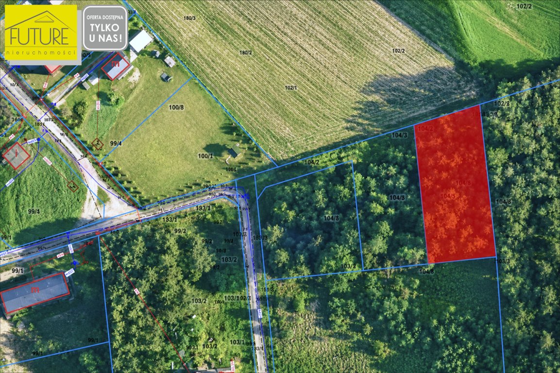 Zapraszam do działki 1003 m² pod letnisko blisko jeziora Kałębie Wycinki  1 003m2 Foto 1