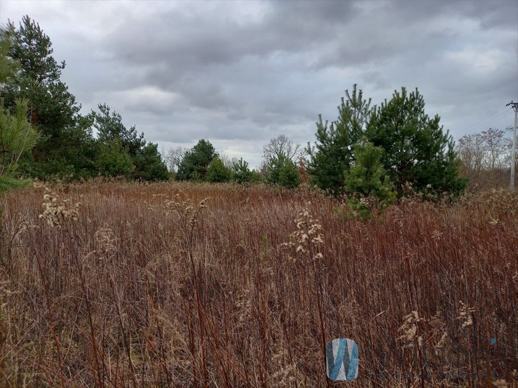 Działka inwestycyjna 3400 m² w Skierdy (MPZP, blisko Warszawy) Skierdy, Sowia  34 000m2 Foto 1