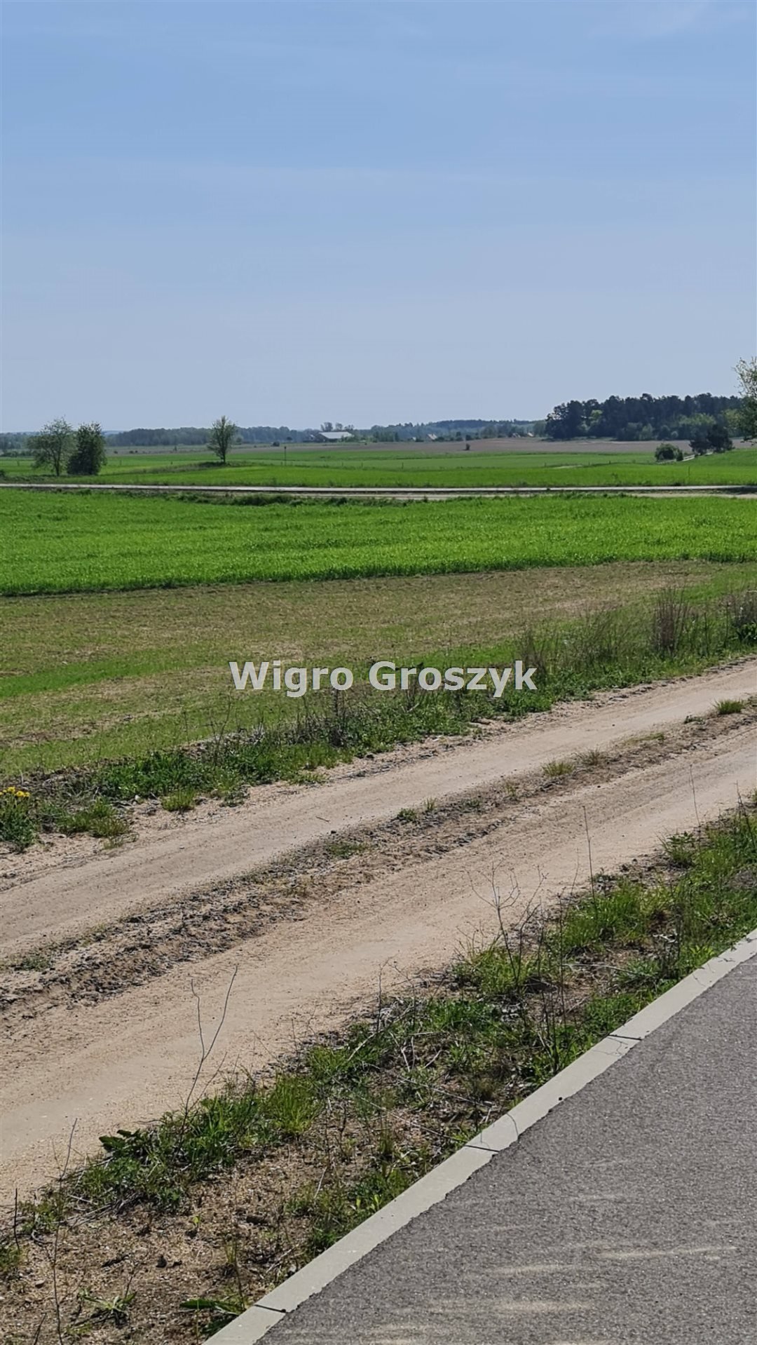 Działka rekreacyjna na sprzedaż Kwik, Kwik  10 409m2 Foto 8