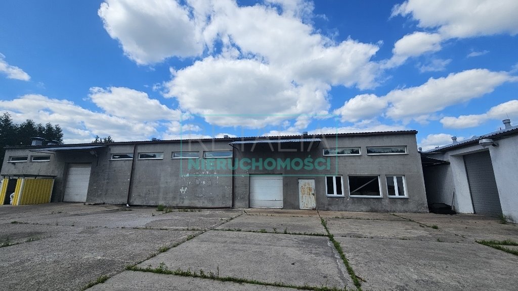 Magazyn na wynajem Ożarów Mazowiecki  1 630m2 Foto 6