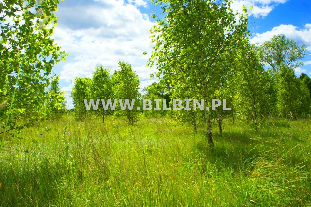 Działka rekreacyjna na sprzedaż Maćkowa Ruda  11 300m2 Foto 12