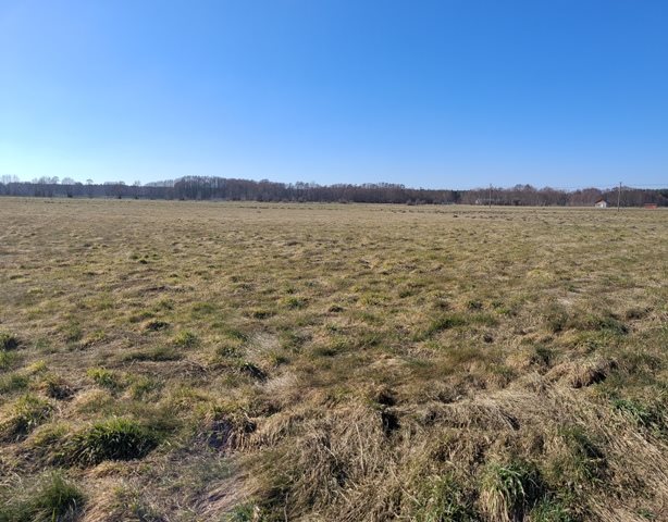 Działka rekreacyjna 2290 m² w Wilkowie – spokojna okolica Wilków  2 290m2 Foto 1