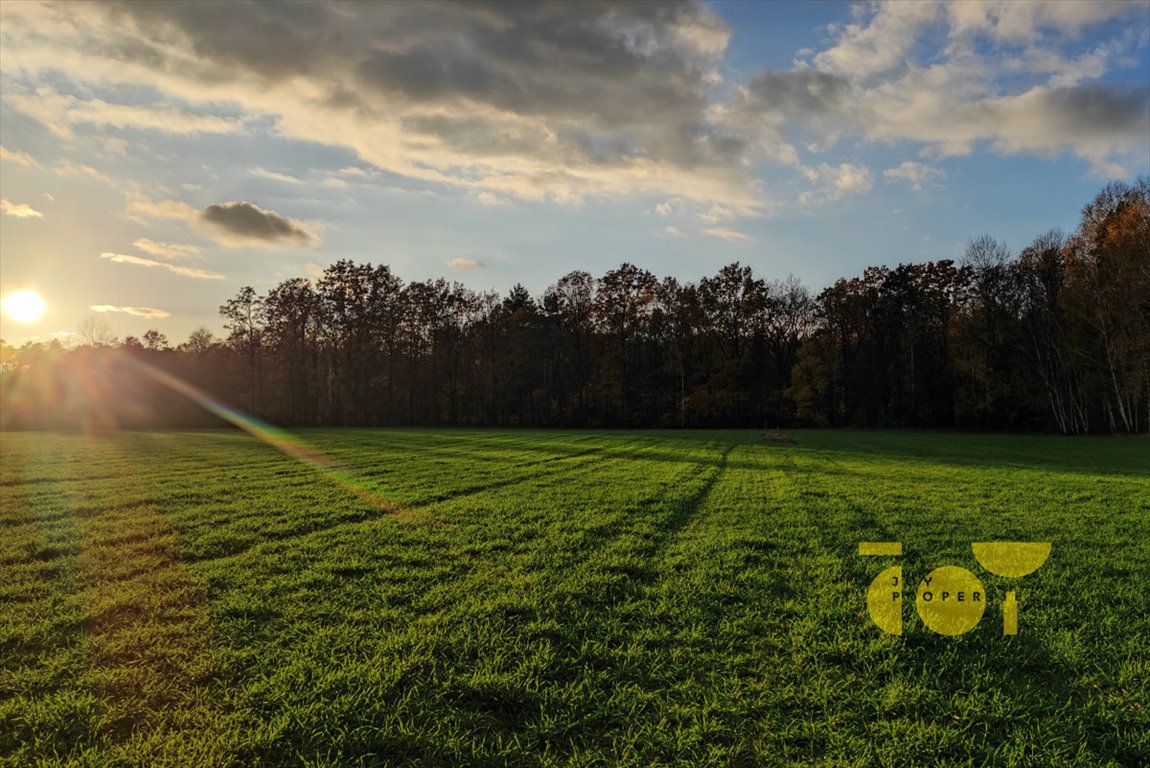 Działka rolna na sprzedaż Przepitki  9 000m2 Foto 4