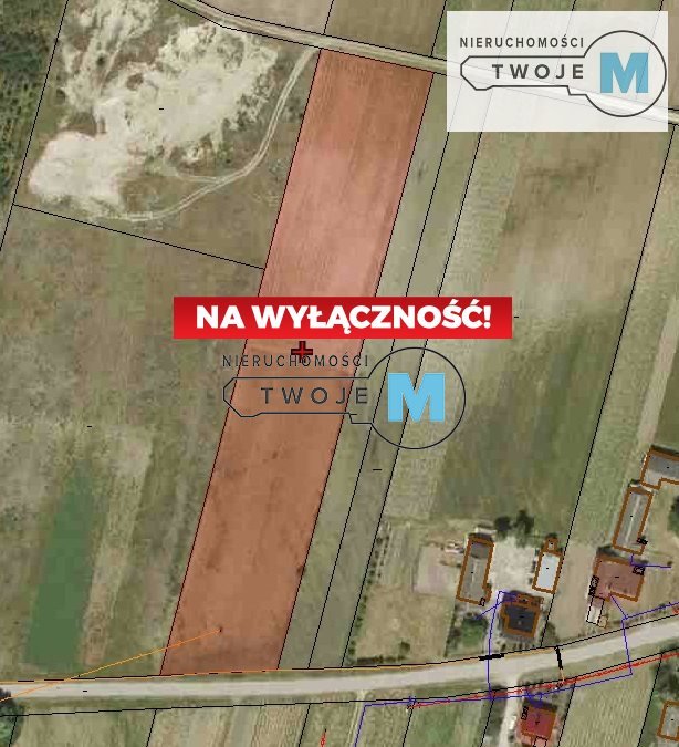 Działka budowlana na sprzedaż Busko-Zdrój, Słabkowice, Słabkowice  8 935m2 Foto 3