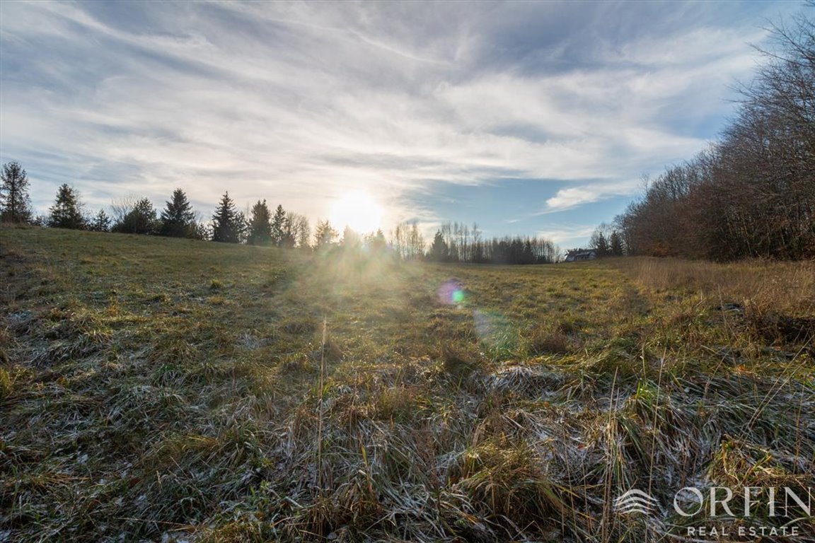 Działka budowlana na sprzedaż Łapino Kartuskie, Rdestowa  1 600m2 Foto 4