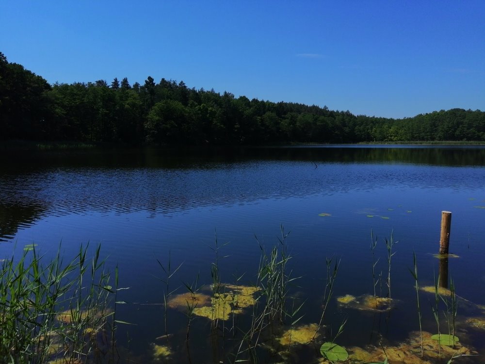 Jezioro z domami na palach, odbudowa, 8 ha, Choszczno Choszczno  80 300m2 Foto 1