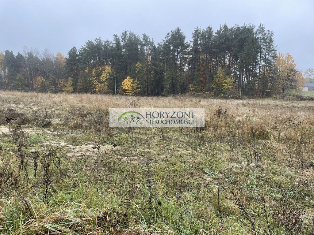 Działka 1002 m² w Kamieniu – idealna pod zabudowę! Kamień  1 002m2 Foto 1