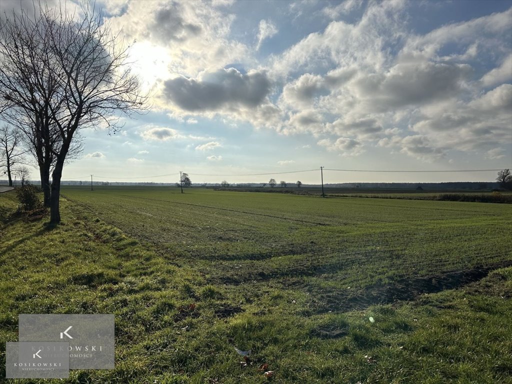 Działka inna na sprzedaż Namysłów, Świerczów  1 021m2 Foto 7