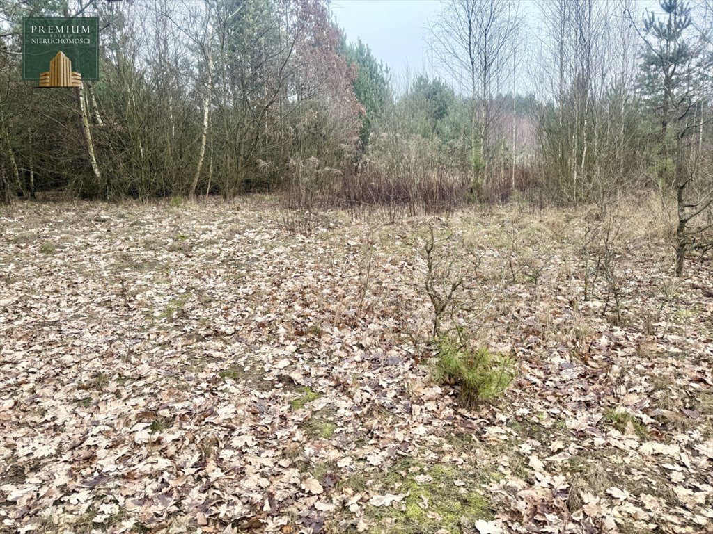 Działka usługowa 3406 m² w Karakule – spokojna okolica Karakule  3 406m2 Foto 1