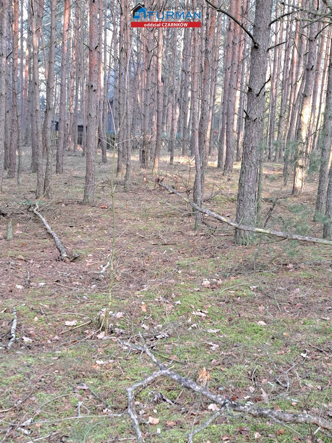 Działka inna na sprzedaż Biała  525m2 Foto 4