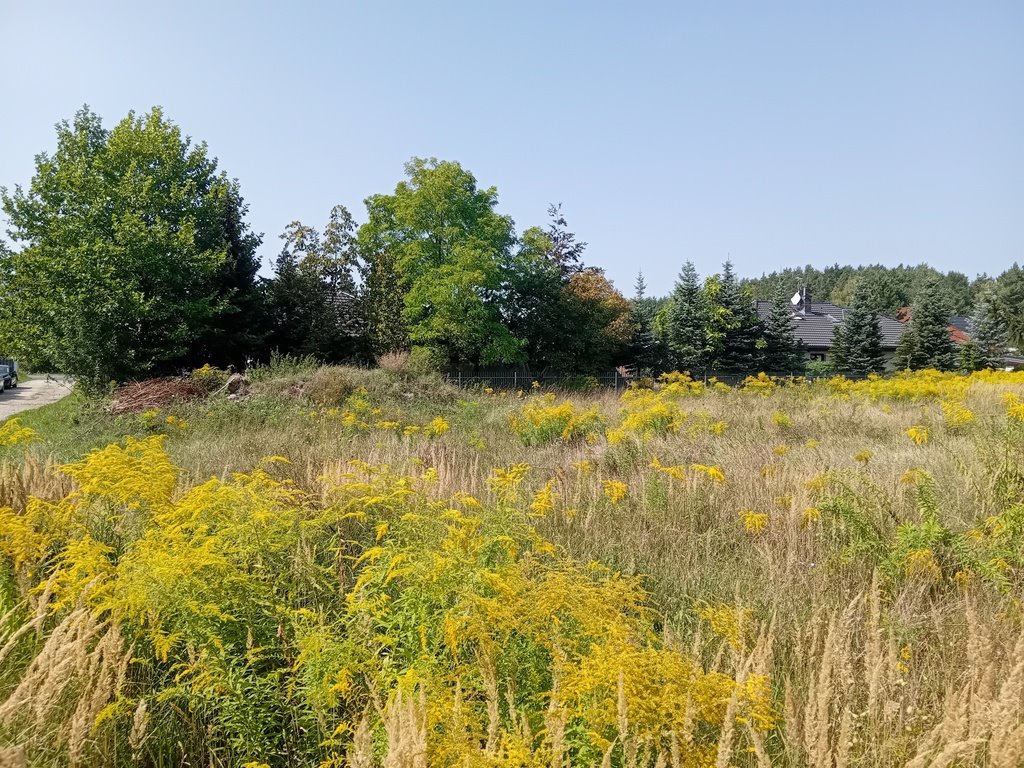 Działka budowlana na sprzedaż Stara Wieś, Złotego Runa  1 003m2 Foto 2