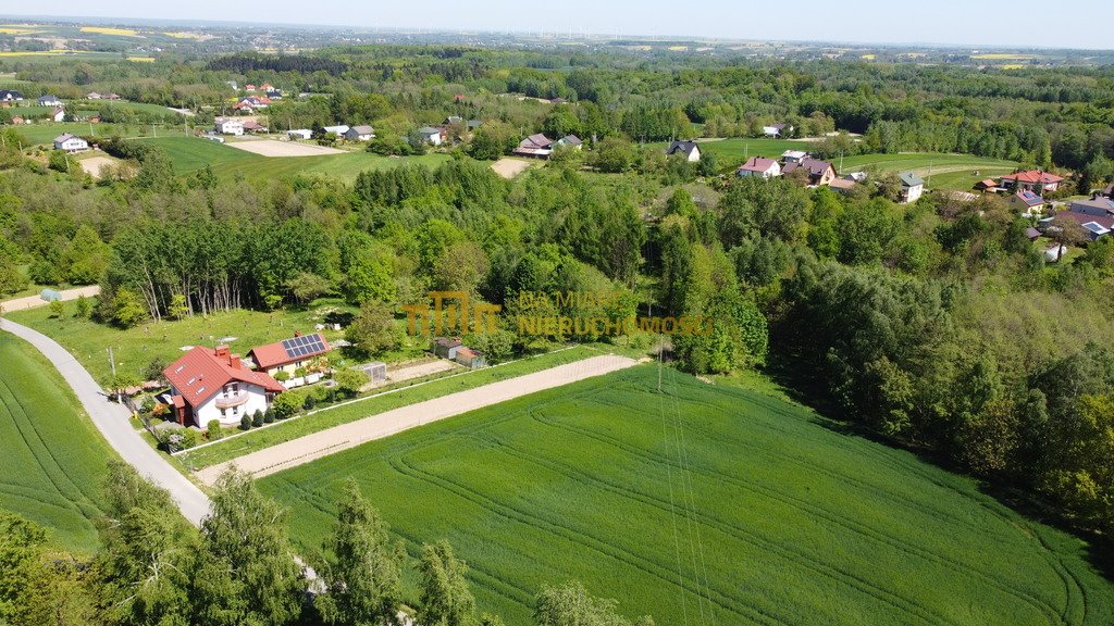 Działka budowlana na sprzedaż Cierpisz  3 000m2 Foto 4