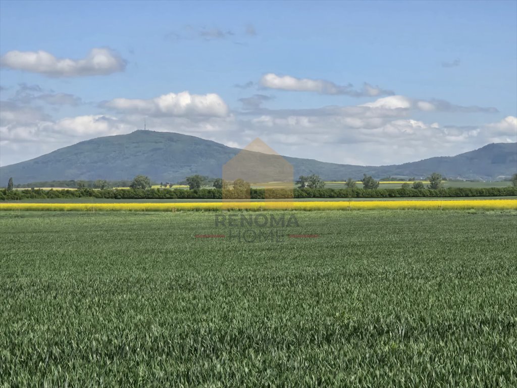 Działka 12 700 m² z widokiem na Sudety w Boleścinie Świdnica  12 700m2 Foto 1