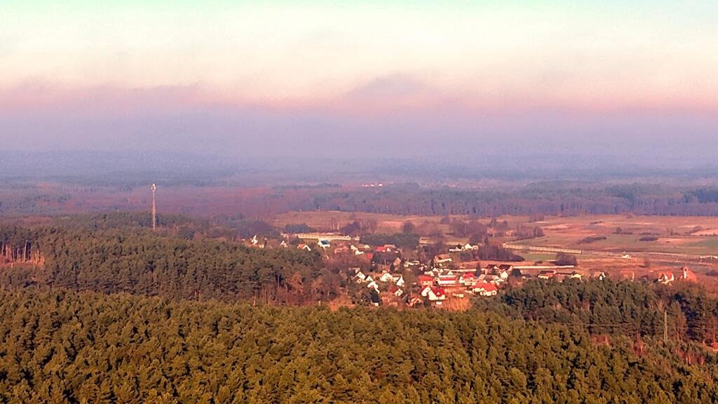 Działka budowlana na sprzedaż Dargobądz  1 241m2 Foto 15