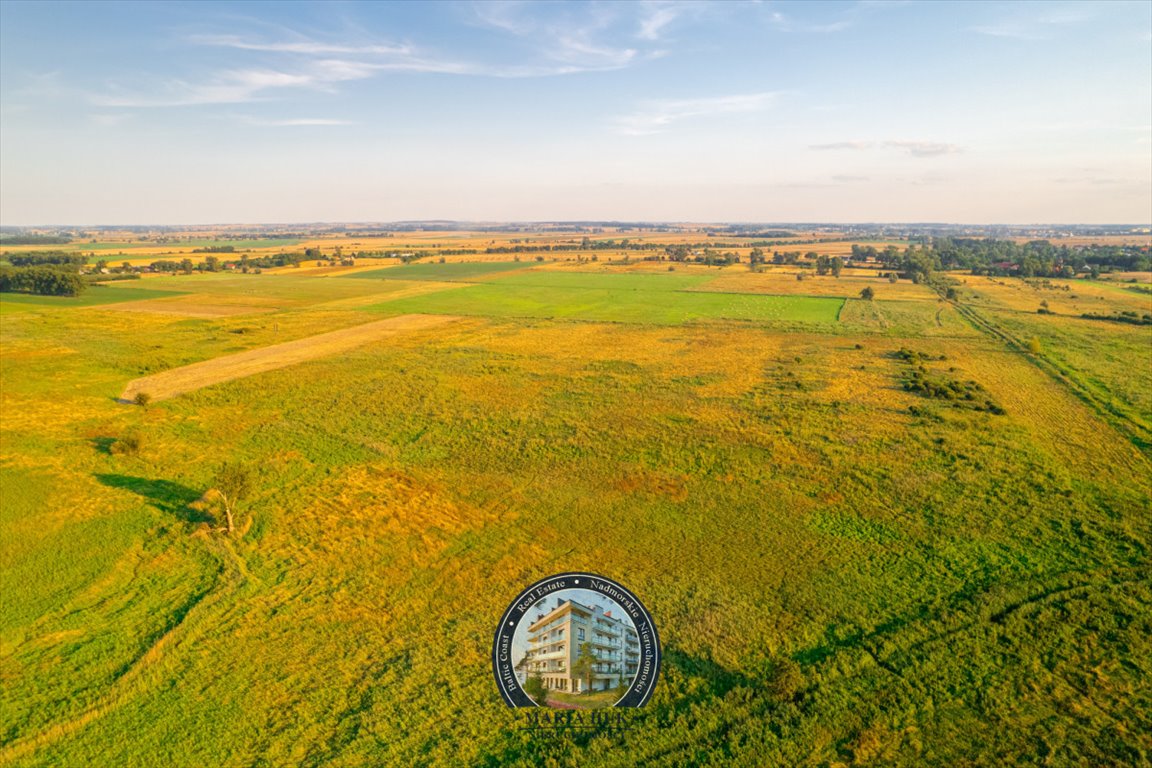 Działka gospodarstwo rolne na sprzedaż Ryszewo  13 500m2 Foto 10