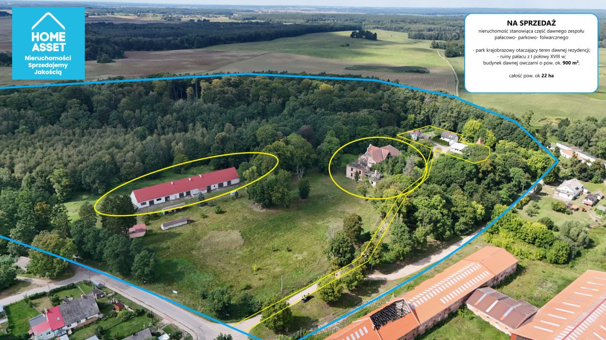 Zapraszam do zakupu 21700 m² działki z ruinami pałacu w Januszewie Januszewo  216 628m2 Foto 1