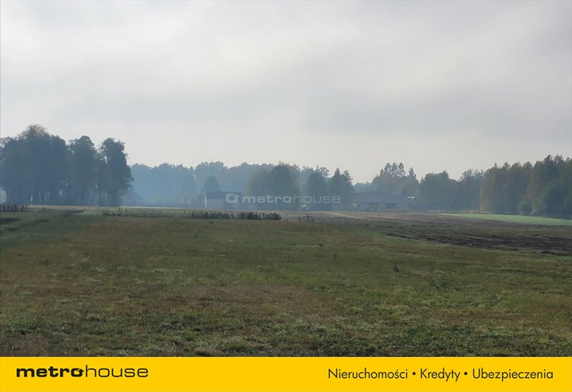 Działka inna na sprzedaż Nadma  6 600m2 Foto 2