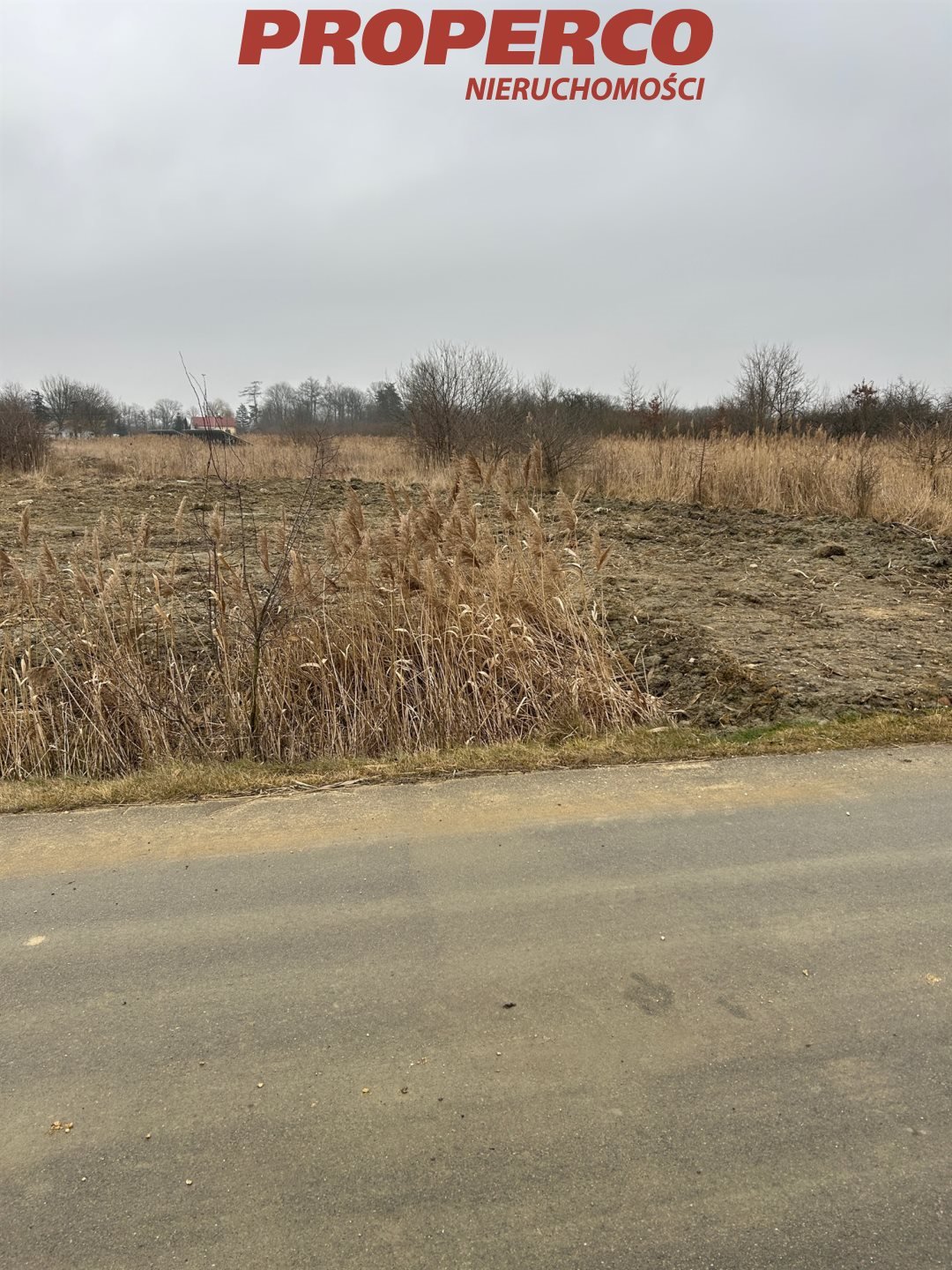 Działka komercyjna na sprzedaż Solec-Zdrój  8 533m2 Foto 1