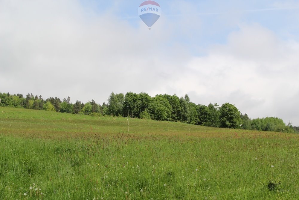 Działka leśna na sprzedaż Krośnica  8 049m2 Foto 17