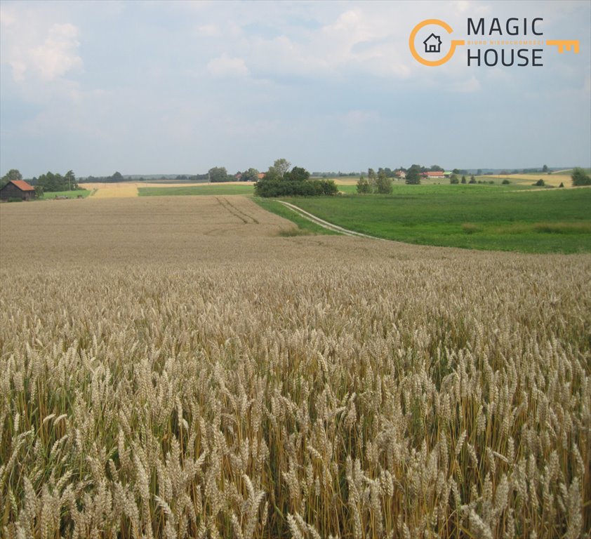 Działka 15 ha z możliwością budowy i lasem w Waplewie Waplewo  148 824m2 Foto 1