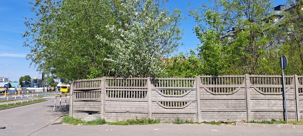 Działka budowlana na sprzedaż Ząbki, Józefa Piłsudskiego  16 864m2 Foto 1