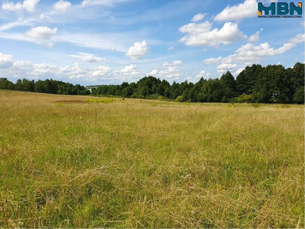 Działka rekreacyjna na sprzedaż Harsz, Harsz  4 720m2 Foto 12