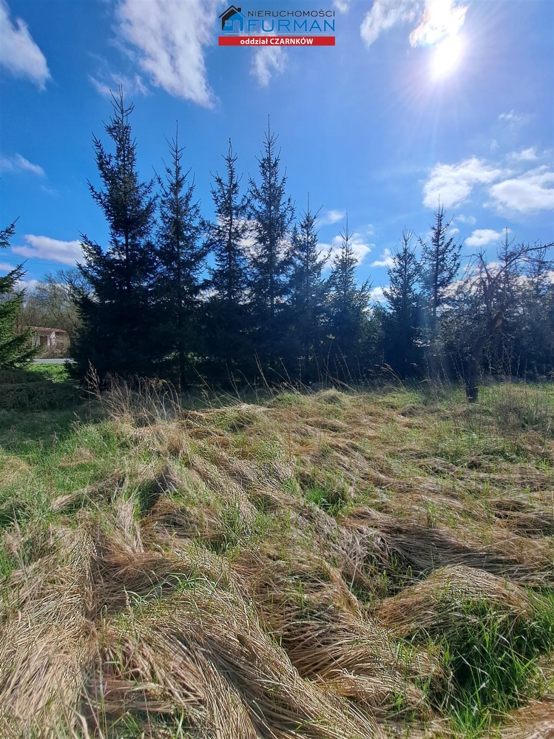 Działka budowlana na sprzedaż Klempicz  865m2 Foto 2