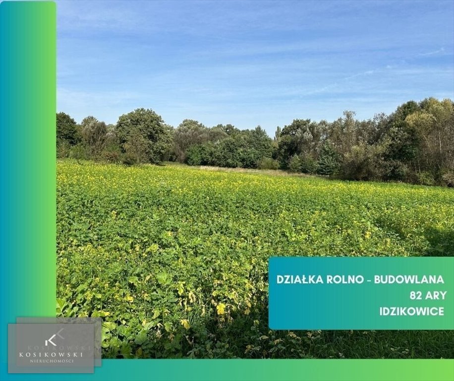 Duża działka rolno-budowlana 8200 m2 z dostępem do mediów Idzikowice, Idzikowice  8 200m2 Foto 1