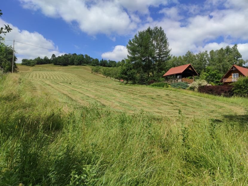 Działka budowlana na sprzedaż Teleśnica Oszwarowa  24 700m2 Foto 1