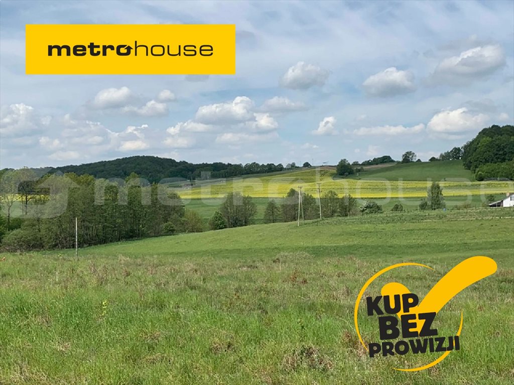 Działka inna na sprzedaż Trzepowo, Przywidz 1 001m2 Foto 1 Działka inna na sprzedaż Trzepowo, Przywidz 1 001m2 Foto 1