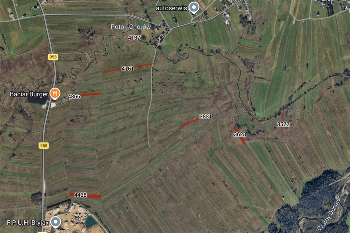 Działki rolne 13 420 m² w Działu, polecam!: Dział