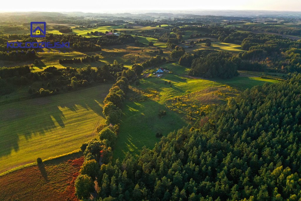 Działka rolna na sprzedaż Pupki  3 009m2 Foto 3