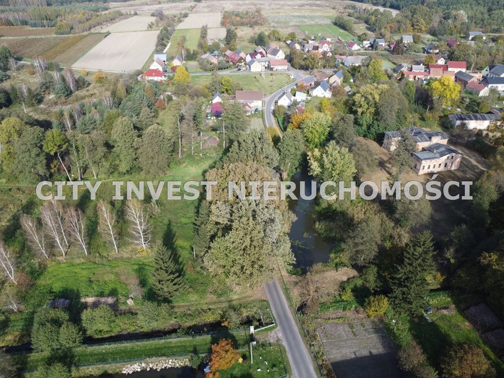 Działka inna na sprzedaż Trzebule  18 500m2 Foto 7