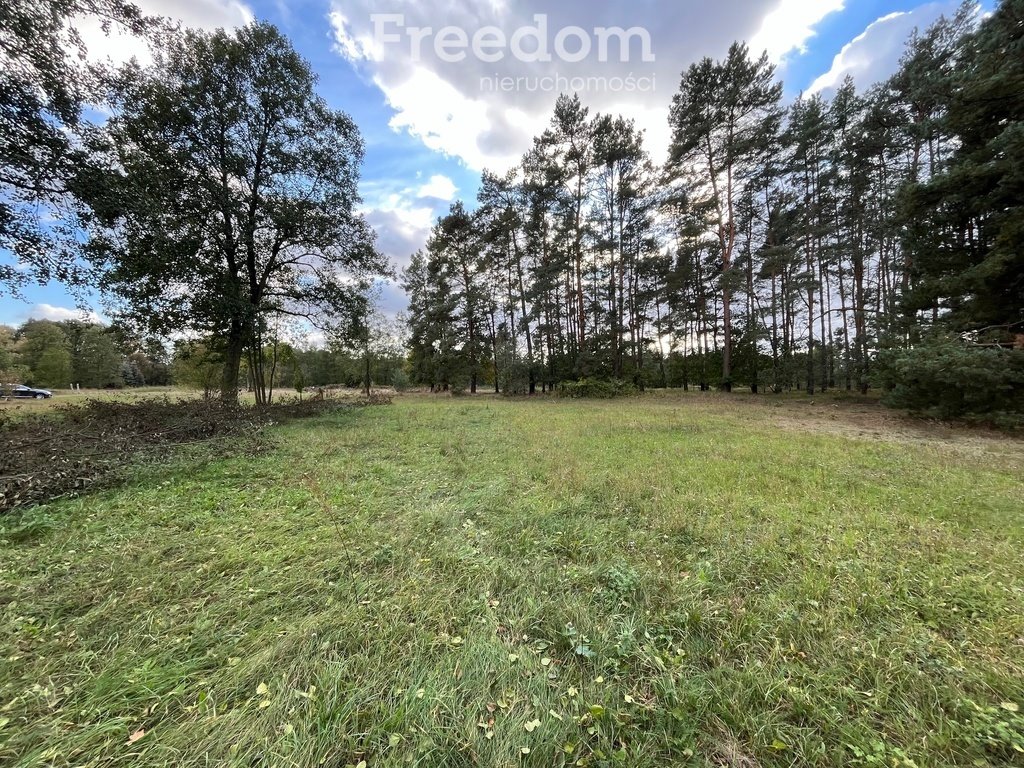 Działka budowlana na sprzedaż Zarośle Cienkie  25 363m2 Foto 6