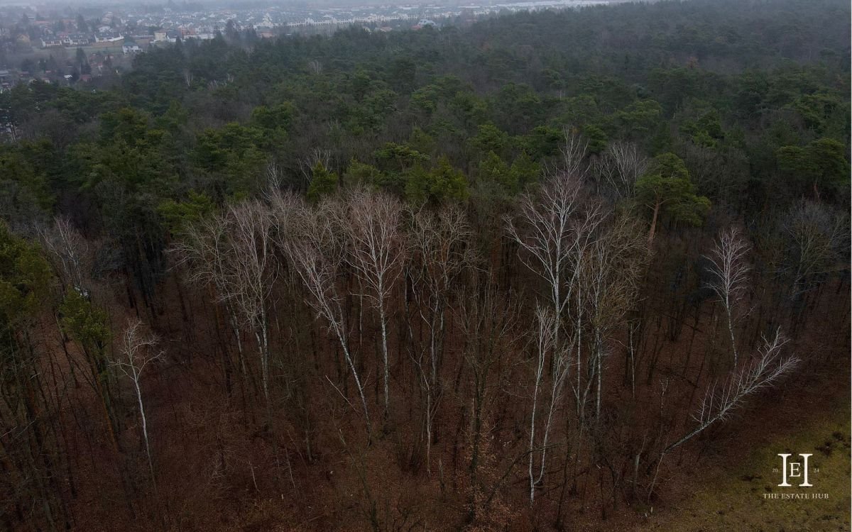 Działka budowlana na sprzedaż Sękocin-Las, Czeremchy  2 600m2 Foto 2